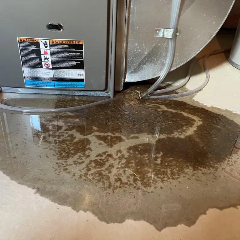 Appliance Leak Cleanup in Ritchie County, WV