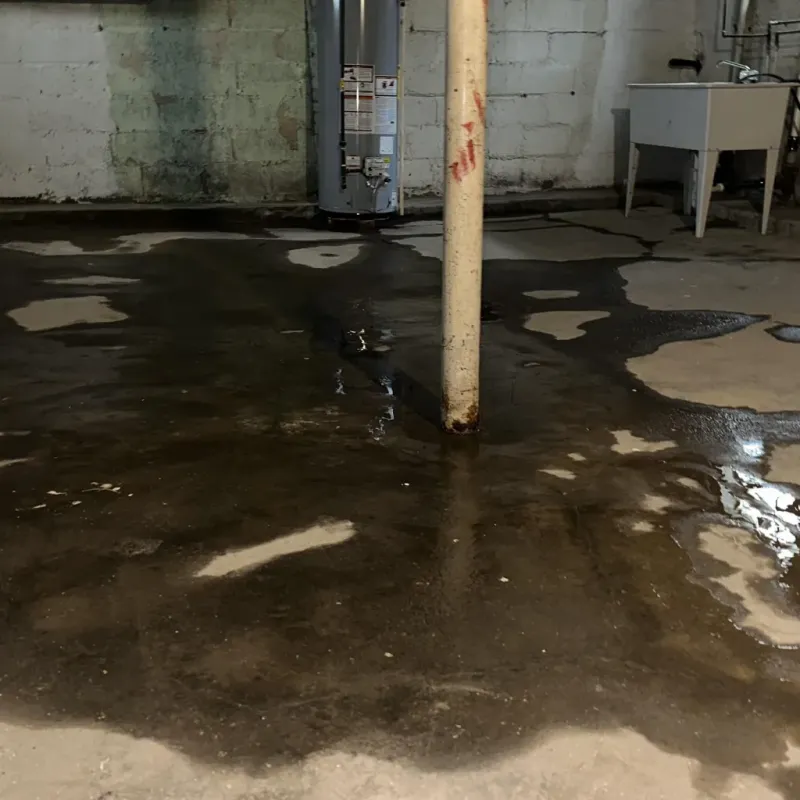 Emergency Water Extraction And Removal in Ritchie County, WV